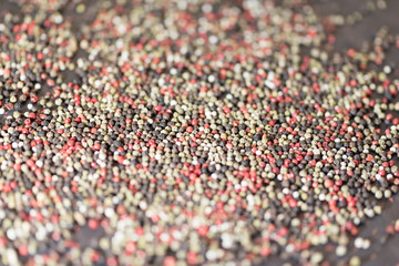 Image of Pepper Mixture (Black, Yellow, Red) 2019