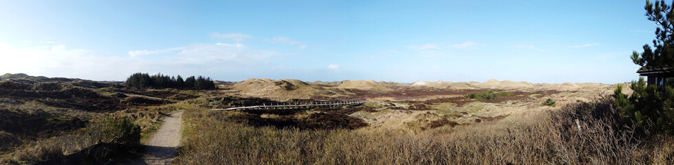 Fototapeta na wymiar wooden path in Amrum dunes, Schleswig Holstein
