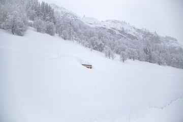 Hiver