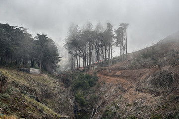 Karge Landschaft nach Waldbrand