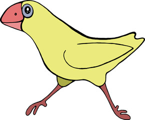 Основные RGB