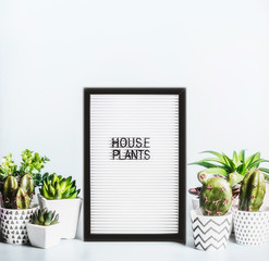 Various indoor plants and cactus in pots around letter board mit text house plants on modern desktop background. Succulent plants concept