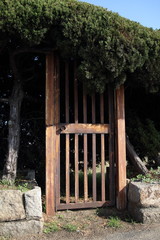 Furtka do krzewów 1