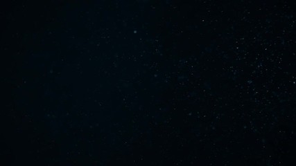 Natural Organic Dust Particles Floating On Black Background. Dynamic Dust Particles Randomly Float In Space With Fast And Slow Motion. Shimmering Glittering Colored Particles With Bokeh In The Air.
