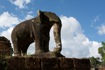 Fototapeta na wymiar Elefante