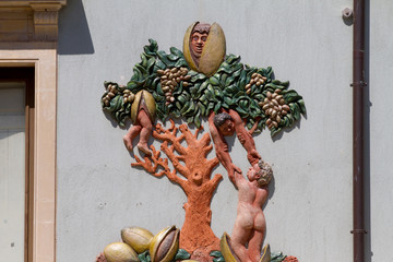 Fototapety na wymiar - Fototapeta24.pl