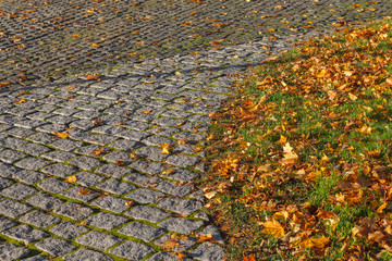 View from above of group of small yellow leaves fall on a pavement made with coblestones of different shapes. Abstract picture of dry dead foliage on a gray geometric surface during autumn season.