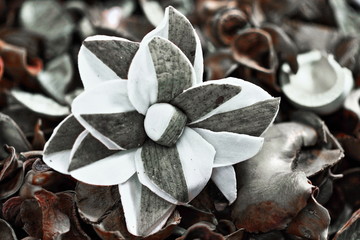 A close up black and white image of  potpourri flower.