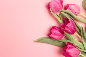 Obraz premium Floral border background with tulips flowers and copy space on pink pastel background. Flat lay, top view.