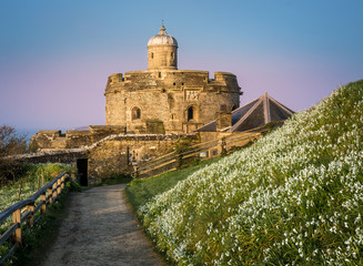 Pathway lined with Snowdrops in early morning light, leading to St Mawes Castle in South Cornwall