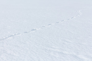 footprints in deep snow