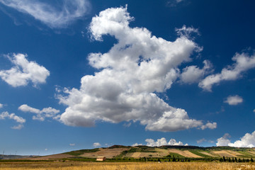 Fototapeta premium Parco e rovine archeologiche di Selinunte, Sicilia