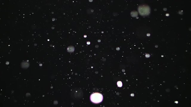 Heavy Snow Falling From Directly Above SLOW MOTION