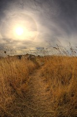 Landscapes and nature