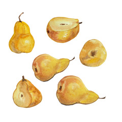 This is my watercolor pears illustration isolated on white background 