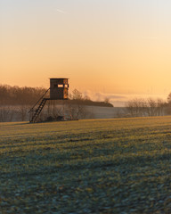 Fototapeta premium Perch in morning light