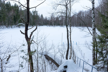 forest lake in winter