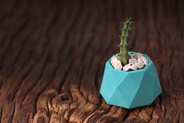 Hipster motivational set with succulent in painted in blue color concrete planter. horizontal orientation