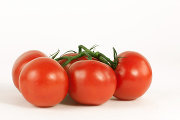 tomatoes on a branch .isolated white background