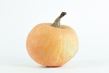 beautiful ripe pumpkin isolated on white background.