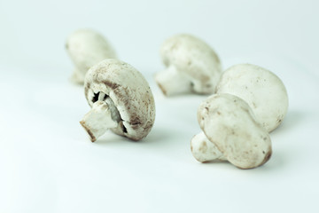 Fototapeta premium Fresh brown champignon mushrooms isolated on white background