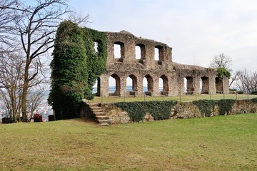 Burgruine, Karlsburg bei Karlstadt am Main