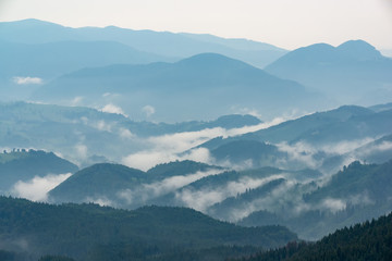 Breathtaking panoramic view of magnificent foggy mountains, covered with evergreen forest on misty quiet morning or evening under light clear sky. Distant layers mountains range in morning.