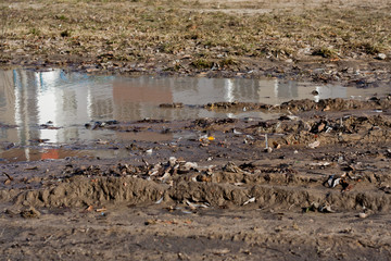 washed out roads after the rain