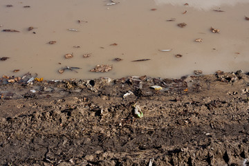 washed out roads after the rain