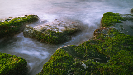 Colorful sea shore with green algae with long exposure water at sunset time