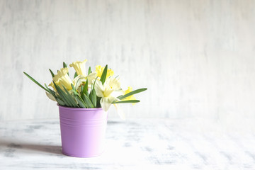 Spring background