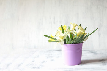 Spring background
