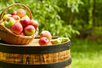 apples on garden background on the old barrel