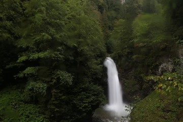Fototapeta na wymiar Palovit Waterfall with in the green forest, Rize, Turkey 