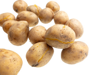 Boiled potatoes isolated on white background