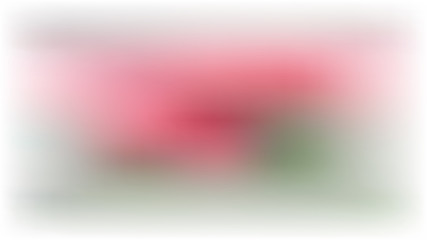 Vector white blur background with pink and green spots