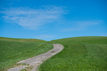 Weg im Grünen