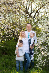 Fototapeta premium Happy parents mom and dad, daughter and son, young family outdoors in spring against the background of blooming apple and cherry trees