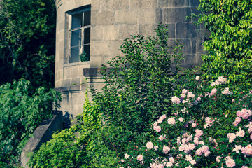 ruined abandoned constructions in abkhazia