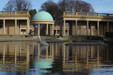 Eaton Park and herons, Norwich