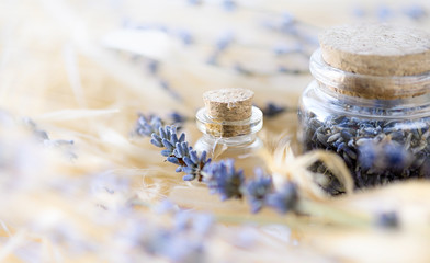 Lavender essential oil and dried lavender flowers in glass bottle.