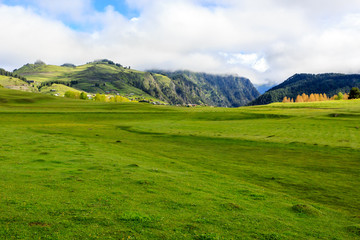 Beautiful green valley in summer day in Caucasus mountains. Georgia, Tusheti