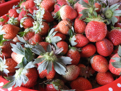 colorful strawberry fruits in a basket closeup