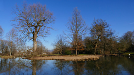 öffentlicher Park von Schloss Favorit, am See in Förch mit hohen Bäumen