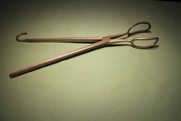 Metal birth forceps for pigs for pigs