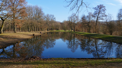 Fototapeta premium öffentlicher Park von Schloss Favorit, am See in Förch mit hohen Bäumen
