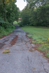 path in park