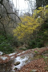 Tatlica waterfalls, Erfelek, Sinop, Turkey 