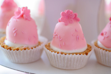 close up photo of cupcakes with white and pink cream and sugar flowers on top