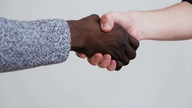 Hands of a mixed race of business partners shake hands as a sign of the expansion of their companies. Concept of mutually beneficial goals